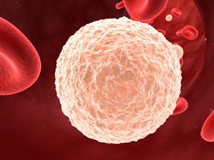 Повышенные или пониженные лейкоциты в крови - причины, симптомы, лечение. Анализ на лейкоциты нормы содержания