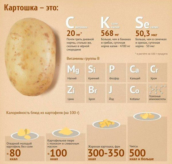 состав картофеля